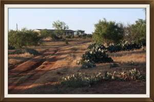west texas ranch for sale