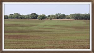 west texas ranch for sale