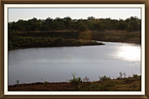 west texas ranch for sale