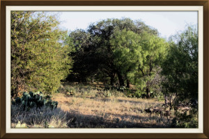 west texas ranch for sale