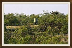 West-Texas-Ranch-4