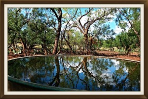 West-Texas-Ranch-5