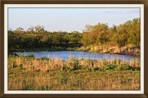 West-Texas-Ranch-6