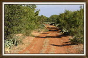 west texas ranch for sale