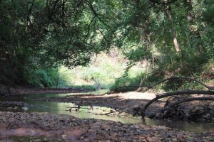 creek