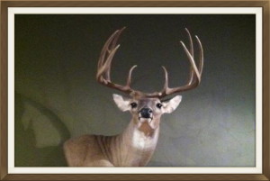 west texas ranch for sale