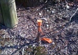 Artificial-Monument-Rebar-2