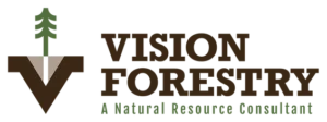 Vision Forestry