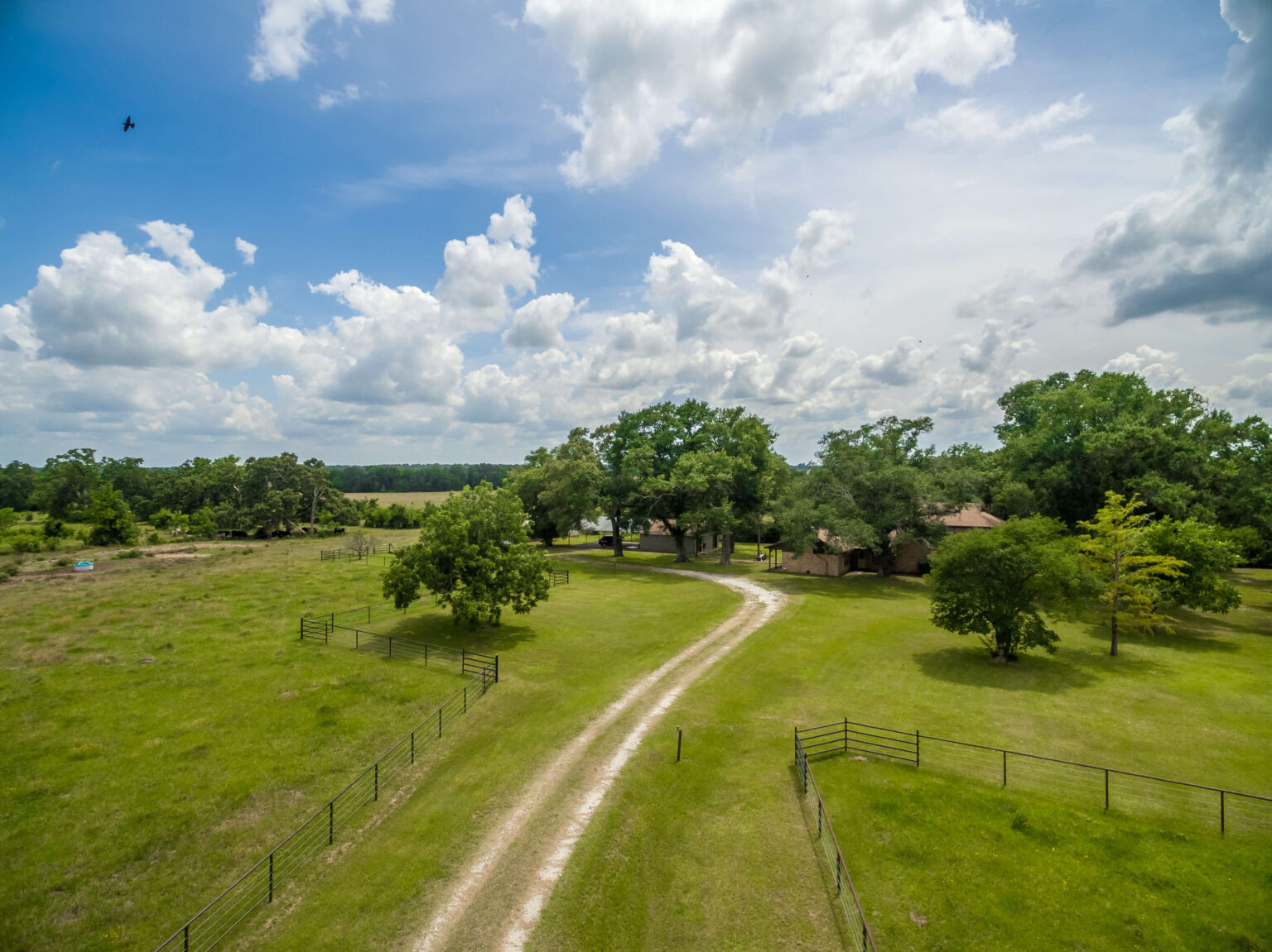 Starting a Ranch in Texas: Costs, Setup & Land Tips