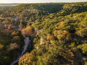 Owl Ranch