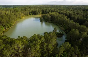 Fishing Property - Whisky Branch Ranch